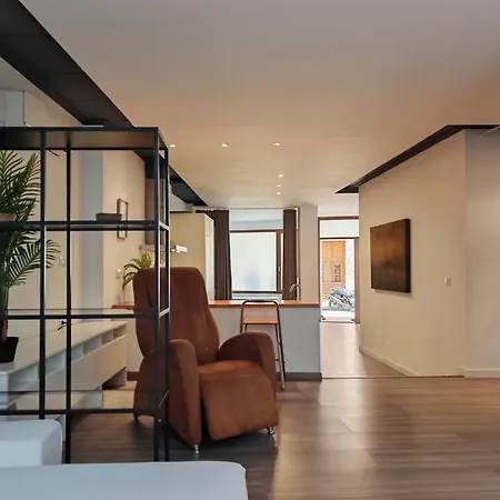 Lejlighed Loft Amplio Y Moderno En *